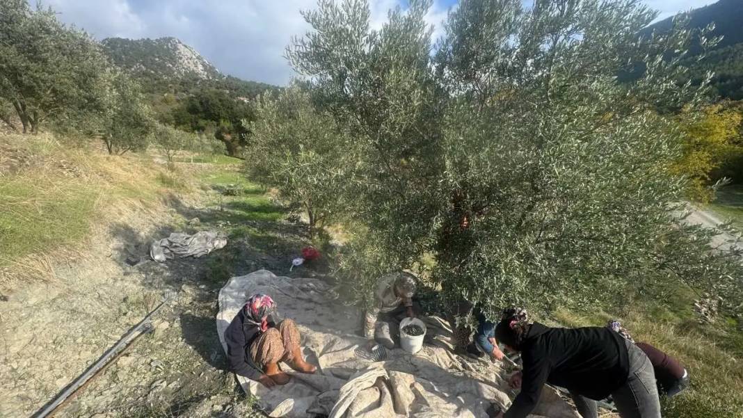 Akseki’de 88’lik Emine Teyze Gençlere Taş Çıkartıyor! 3